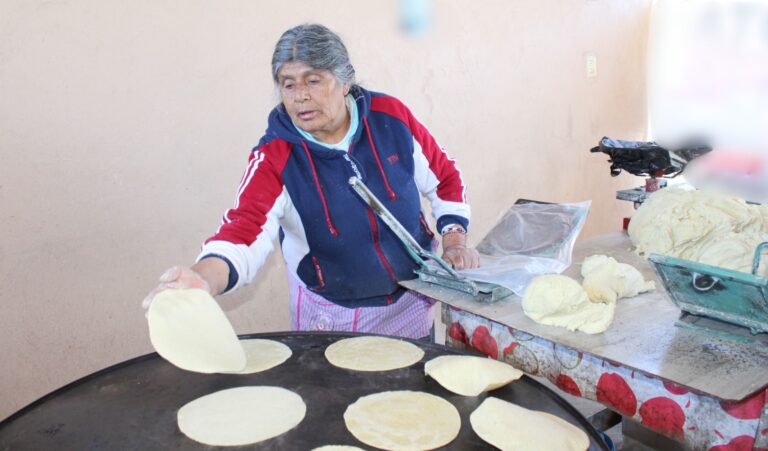 Fomtlax proyecta colocar más de mil créditos en 2026; 70% será para mujeres emprendedoras