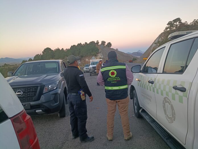 WhatsApp Image 2026-02-20 at 21.43.03