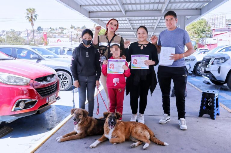 Mediante jornadas “Adogtame”, 91 perritos rescatados encuentran hogar
