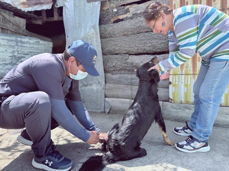 Coordinación de bienestar animal brinda más de 4 mil servicios veterinarios