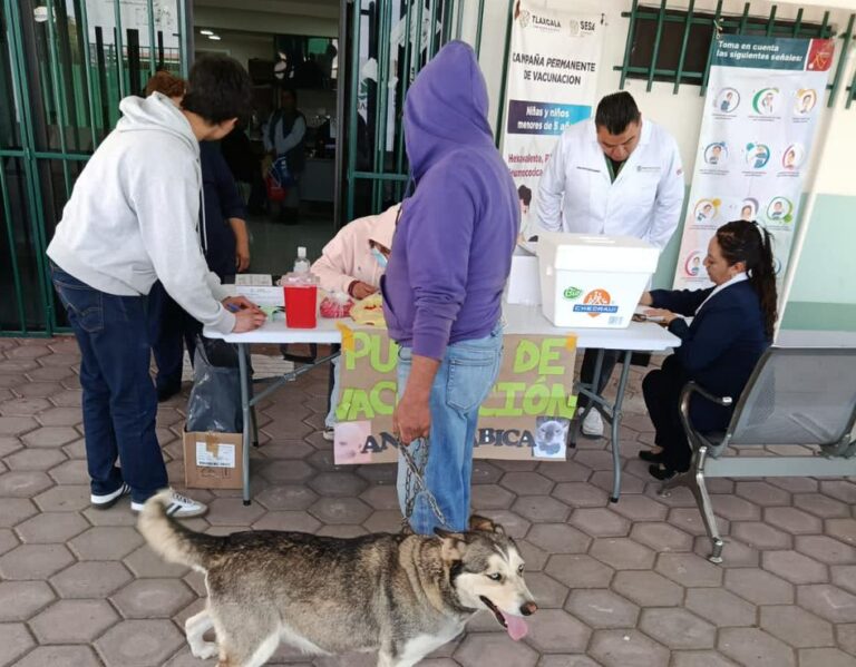 SESA e IMSS-BIENESTAR aplicarán más de 388 mil vacunas antirrábicas a perros y gatos