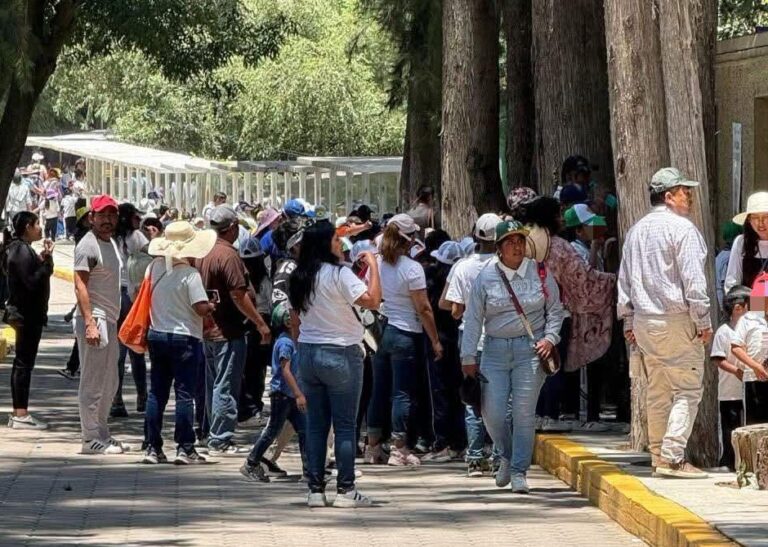 Zoológico del Altiplano Amplía Horario en Vacaciones; Abre Todos los Días Para Recibir a Familias y Visitantes