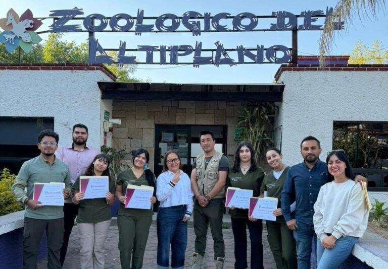 Especialistas realizan evaluaciones clínicas a felinos en el zoológico del altiplano