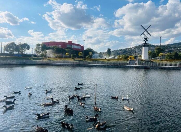 WhatsApp Image 2026-04-03 at 08.42.33